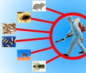 Công Ty TNHH Thông Tin Đất Việt