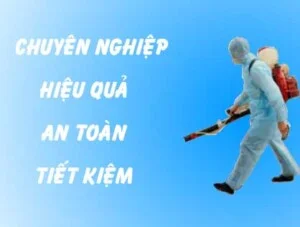 Công Ty TNHH Thông Tin Đất Việt