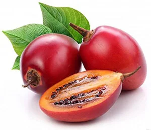 Công Ty TNHH Quốc Tế Nguyên Sinh