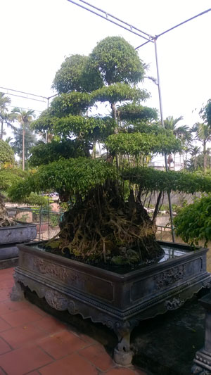 Công ty cổ phần anh huy chiến thắng