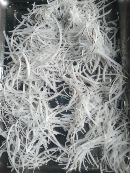 Sản Phẩm Từ Dừa Tâm An – Cơ Sở Dừa Tâm An