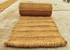 Golden Coconut – Công Ty TNHH Dừa Vàng
