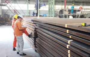 Cuộc sống VN.GO – Thép Đặc Chủng Hoàng Minh Anh – Công Ty TNHH Hoàng Minh Anh Mould Steel