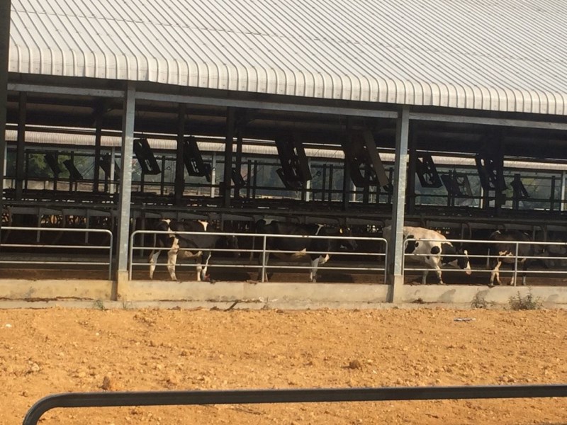 Nhà Thép Tiền Chế Đại Phát – Công Ty TNHH MTV Xây Dựng Và Thương Mại Đại Phát