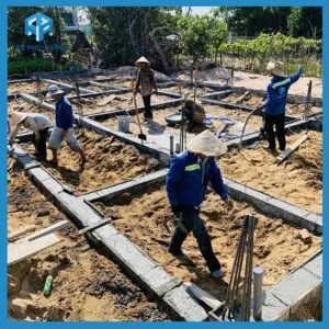 Chi Nhánh Quảng Nam – Công Ty TNHH TM & DV Tân Phú Thành
