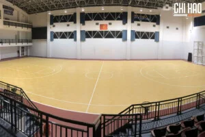 Công Ty TNHH Giải Pháp Công Nghệ Cit