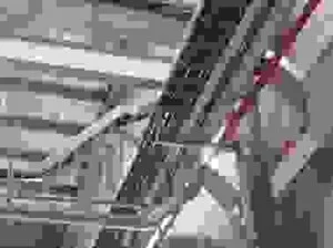 Công Ty TNHH Thiết Bị Và Giải Pháp Công Nghệ Điện Trường ELC