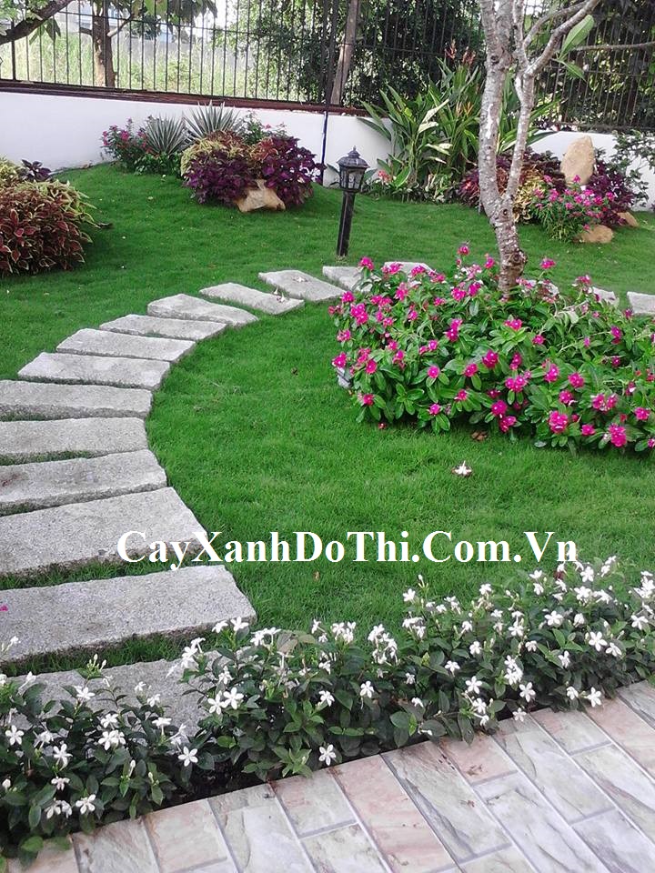 Kiến Trúc Cảnh Quan HATA LANDSCAPE – Công Ty TNHH Kiến Trúc Cảnh Quan Hata