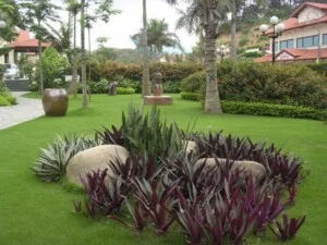 Công Ty Cổ Phần Dịch Vụ Kỹ Thuật Hoa Cây Cảnh Hoàng Anh