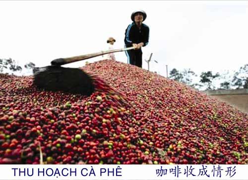 Công Ty TNHH Sản Xuất Thương Mại Cao Sang Mãn