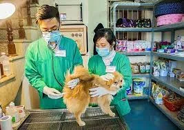 Phòng Khám Thú Y Thùy Hạnh