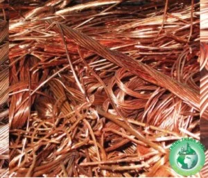 Công Ty TNHH Thương Mại Dịch Vụ Xây Dựng Thông Thành Phát