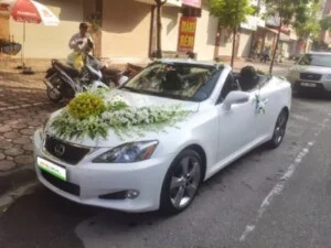 Công Ty Cổ Phần Thương Mại Dịch Vụ Châu Âu Luxury