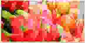 Công Ty TNHH Hàng Xanh