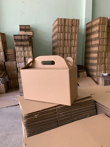 Thùng Carton Hoàng Nam Như – Công Ty TNHH Sản Xuất Thương Mại Hoàng Nam Như