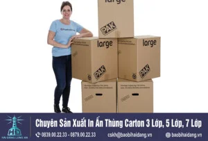 Thùng Carton Hải Đăng – Công Ty TNHH Sản Xuất Hải Đăng Long An