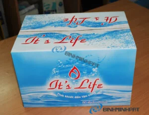Bao Bì Giấy Bình Minh PAT – Công Ty TNHH Bình Minh PAT