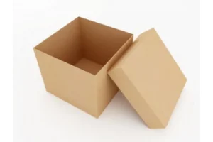 Thùng Carton  Đồng Nai – Công Ty TNHH Vương Gia Nam