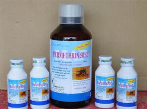 Công Ty CP Tư Vấn XD Và Dịch Vụ Kỹ Thuật 68