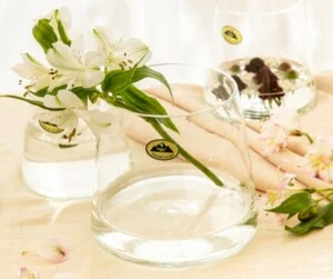 Thủy Tinh Thanh Xuân – Công Ty TNHH Thanh Xuân