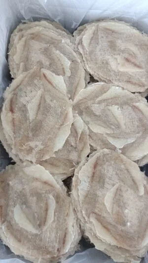 Nhà Cung Cấp Hải Sản Kim Cúc