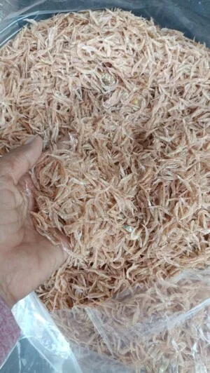 Nhà Cung Cấp Hải Sản Kim Cúc