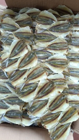 Nhà Cung Cấp Hải Sản Kim Cúc