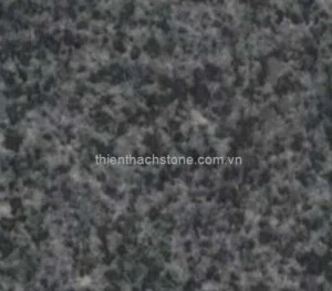 Thiên Thạch – Công Ty TNHH Sản Xuất Thương Mại Thiên Thạch