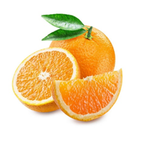 EVODIA Việt Nam – Công Ty TNHH EVODIA Việt Nam