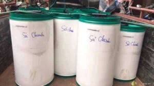 Công Ty TNHH Một Thành Viên Thực Phẩm Xanh Việt Group
