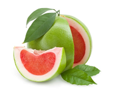 EVODIA Việt Nam – Công Ty TNHH EVODIA Việt Nam