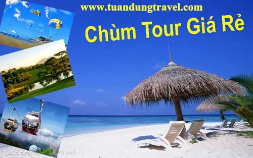 Công Ty TNHH Dịch Vụ Du Lịch Tuấn Dung