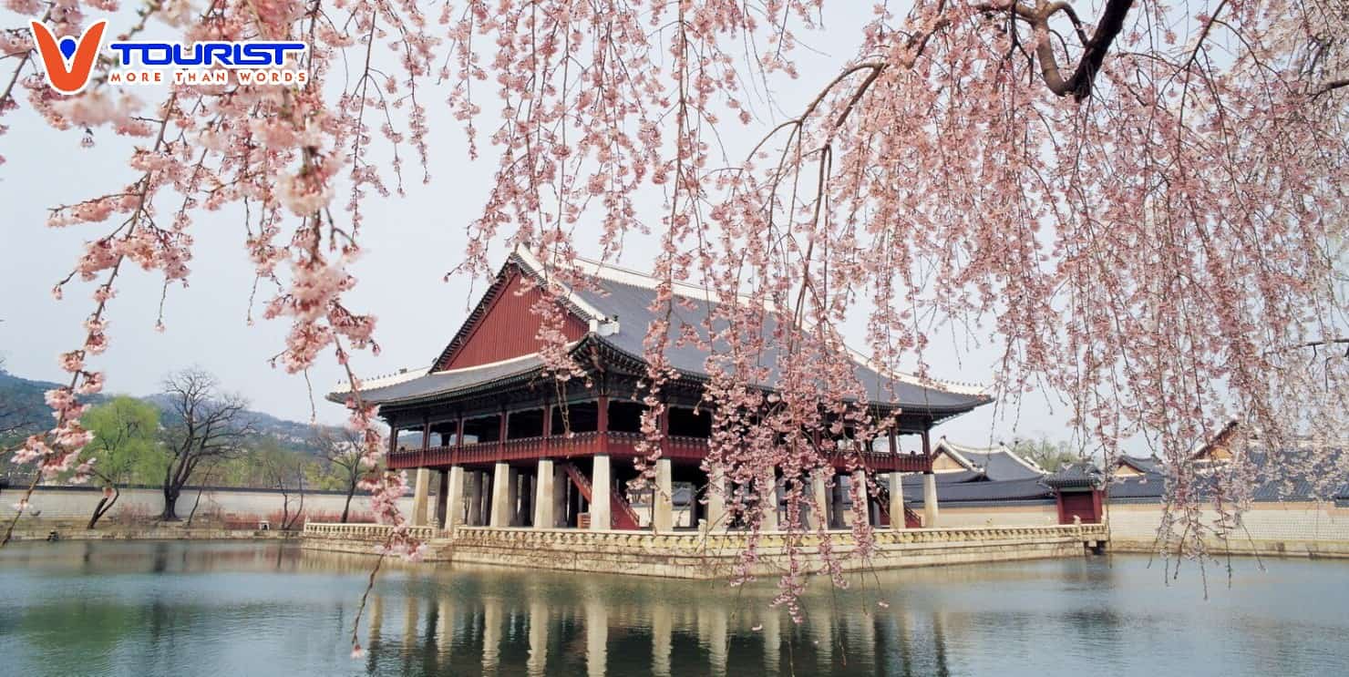 Công Ty Cổ Phần Du Lịch Vtourist