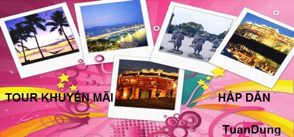 Công Ty TNHH Dịch Vụ Du Lịch Tuấn Dung