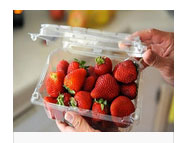 Bao Bì Nhựa Tân Bắc Hải – Công Ty TNHH Sản Xuất Thương Mại Tân Bắc Hải