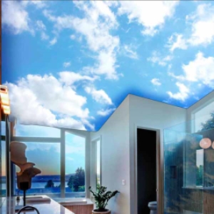 Trần Xuyên Sáng 3D An Phú – Công Ty TNHH Vật Liệu Và Thiết Bị An Phú