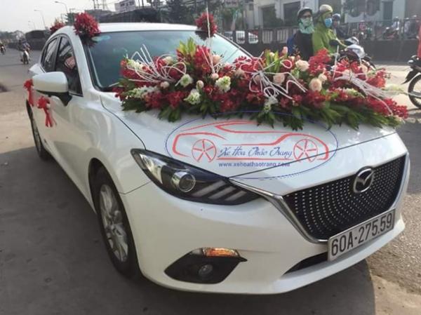 Xe Du Lịch Thảo Trang – Công Ty TNHH Thương Mại Dịch Vụ Du Lịch Thảo Trang