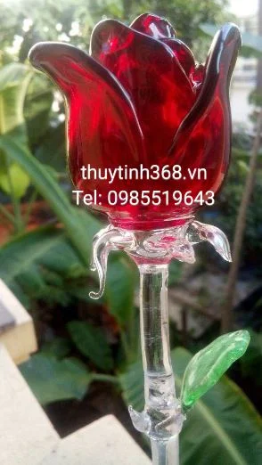 Công Ty TNHH Công Nghệ Max Toàn Cầu