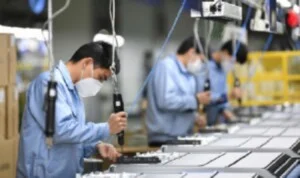 Tư Vấn Doanh Nghiệp Sen Hồng – Công Ty TNHH Bác Sĩ Doanh Nghiệp Sen Hồng