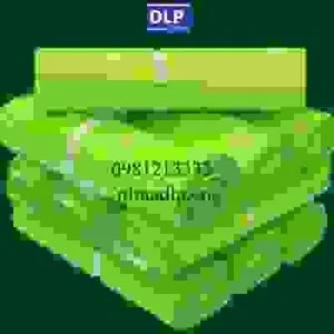 Túi Đóng Hàng DLP Việt Nam – Công Ty TNHH DLP Việt Nam