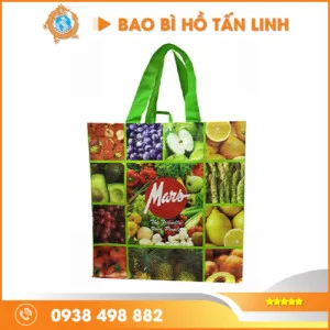 Túi Vải Không Dệt Hồ Tấn Linh – Công Ty TNHH Phát Triển Toàn Cầu Hồ Tấn Linh