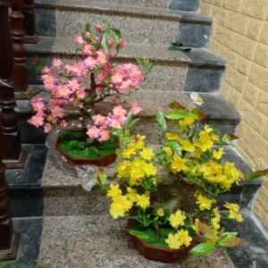 Shop Cây Giả Ngọc Minh