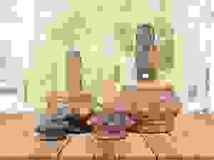 Công Ty TNHH Kim Nguyên