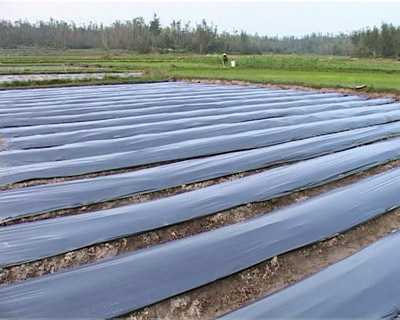 Công Ty TNHH Sản Xuất Thương Mại Hương Tuyền