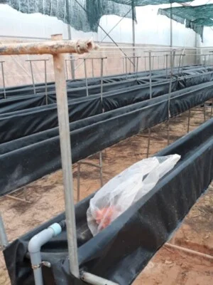 Nhựa Trí An – Công Ty TNHH Nhựa Trí An