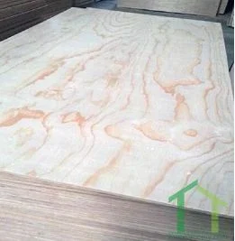 Ván ép Thanh Trúc – Công Ty TNHH Thương Mại Và Sản Xuất Thanh Trúc