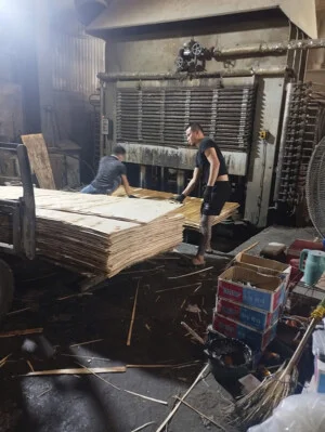 Ván ép Huy Sơn Thịnh – Công Ty TNHH Huy Sơn Thịnh