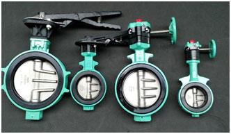 Công Ty TNHH Thương Mại Và Dịch Vụ Tương Lai Việt