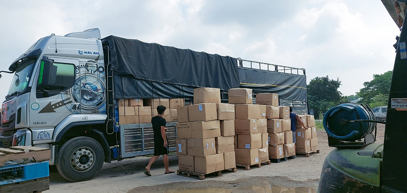 Trường Giang Logistics – Công Ty TNHH Vận Tải Trường Giang Logistics