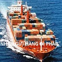 Công Ty Trách Nhiệm Hữu Hạn Thương Mại Dịch Vụ Xuất Nhập Khẩu An Tín Phong